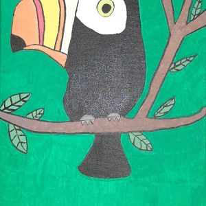 Toucan